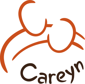 https://gezondheidscentrumdeamazone.com/wp-content/uploads/2019/01/careyn-logo.png